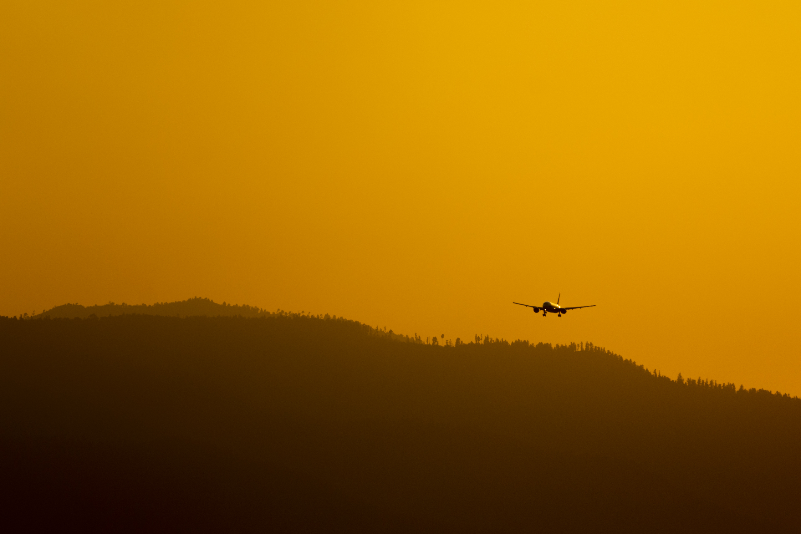 Canon EOS 7D Mark II | EXIF: 400mm, f/5.6, 1/640sec, ISO-125 | Photo by Christian González Verón | All rights reserved