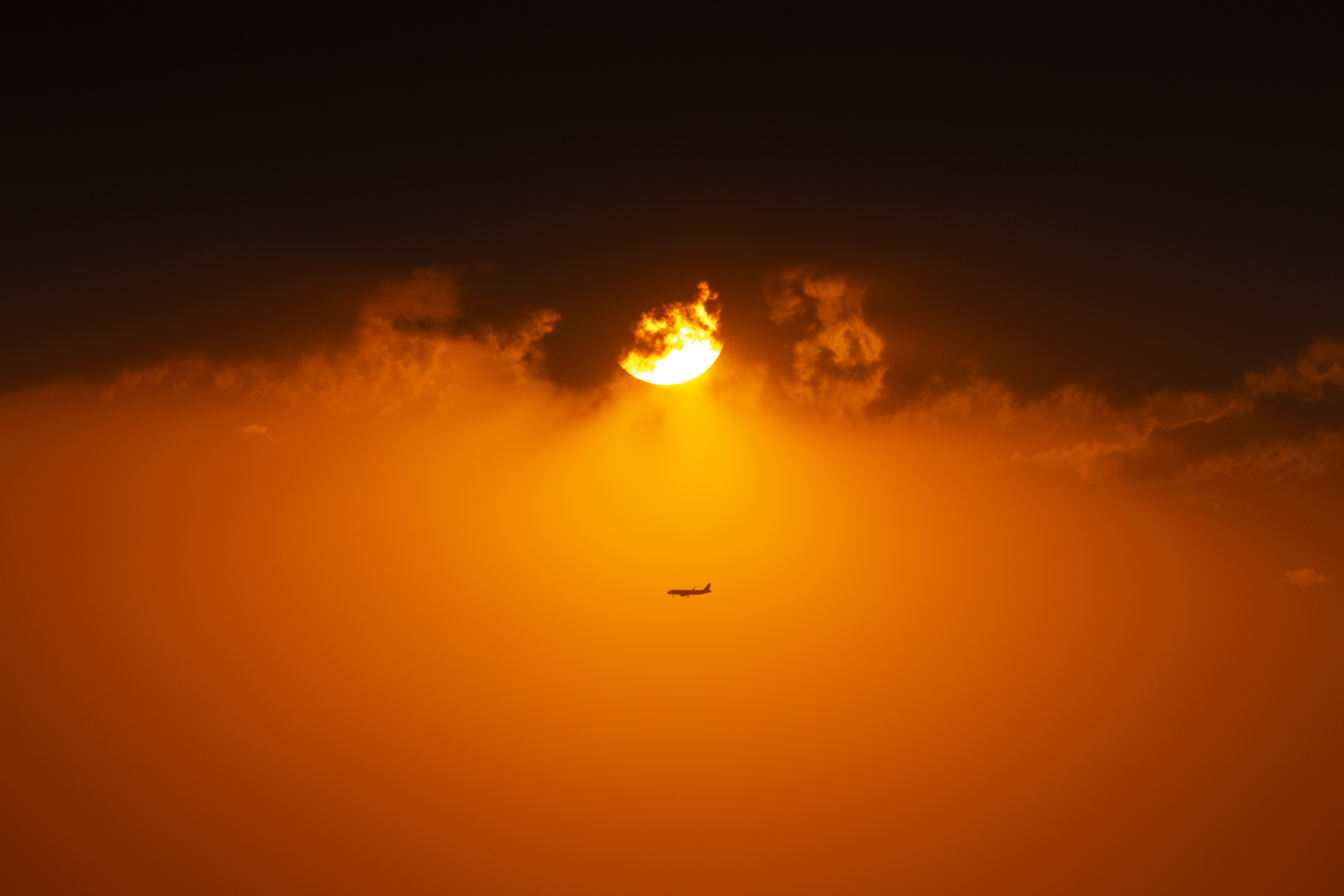 Canon EOS 7D Mark II | EXIF: 200mm, f/2.8, 1/4000sec, ISO-100 | Photo by Christian González Verón | All rights reserved