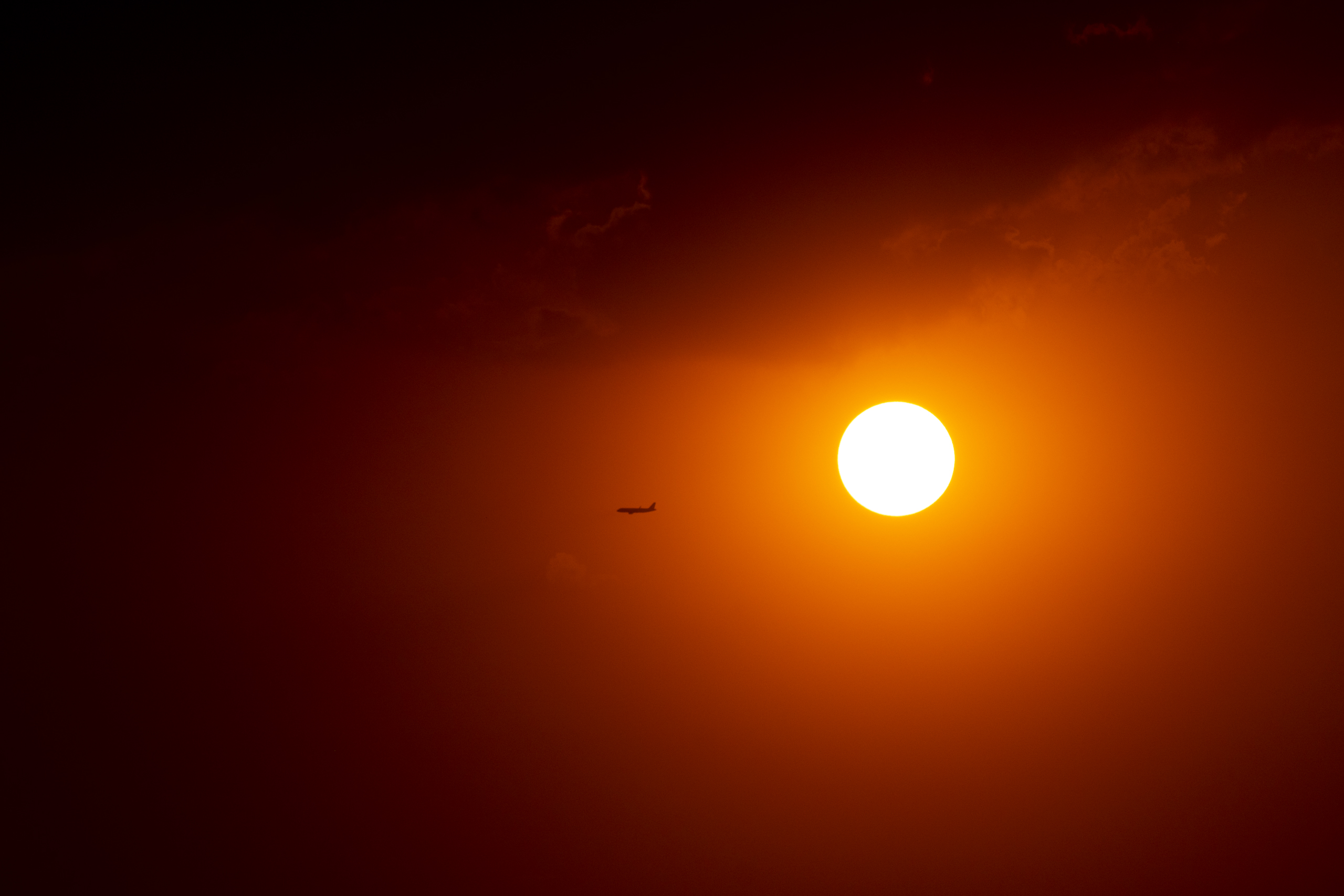 Canon EOS 7D Mark II | EXIF: 200mm, f/8, 1/3200sec, ISO-100 | Photo by Christian González Verón | All rights reserved