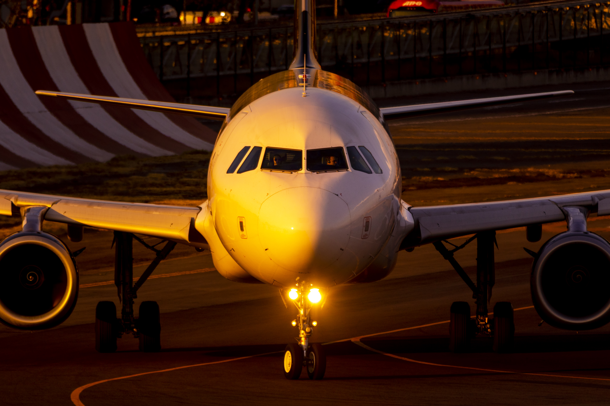 Canon EOS 7D Mark II | EXIF: 400mm, f/5.6, 1/640sec, ISO-200 | Photo by Christian González Verón | All rights reserved
