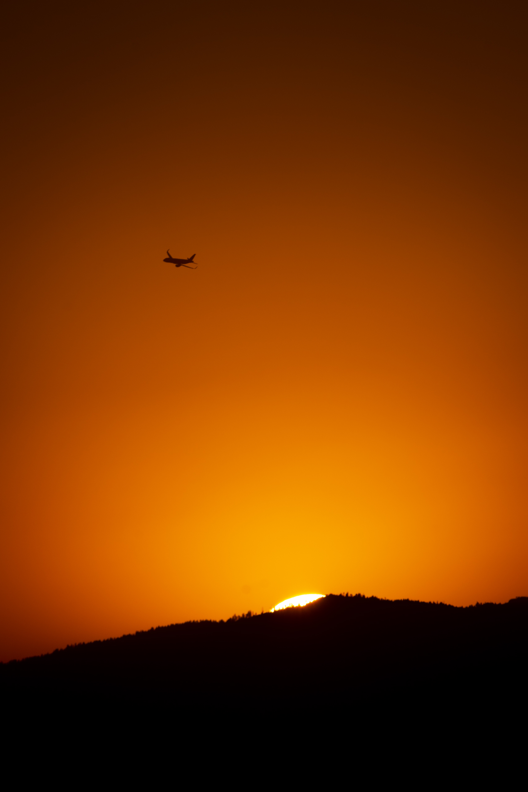 Canon EOS 7D Mark II | EXIF: 370mm, f/11, 1/1250sec, ISO-100 | Photo by Christian González Verón | All rights reserved