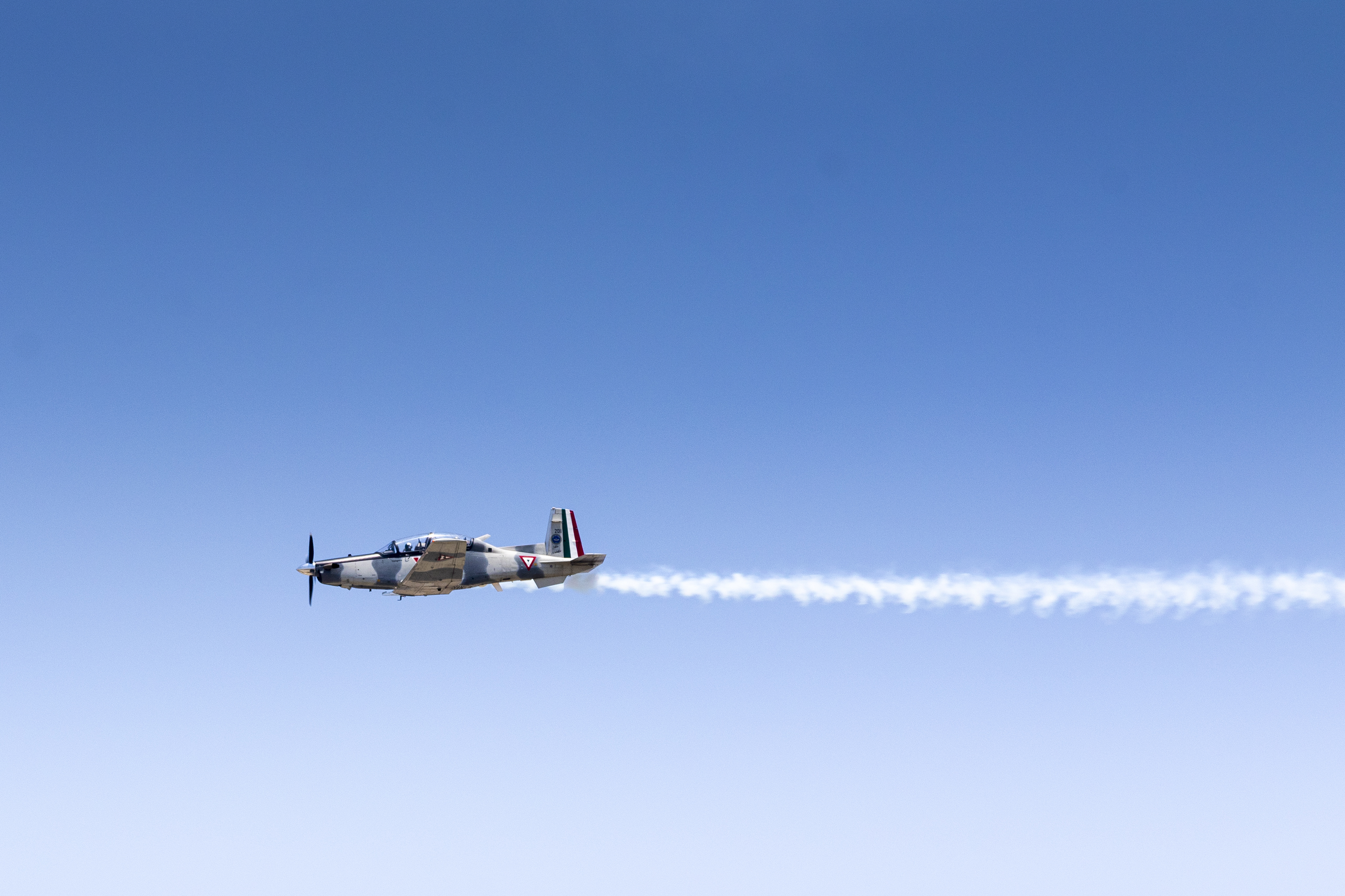 Canon EOS 7D Mark II | EXIF: 200mm, f/8, 1/800sec, ISO-100 | Photo by Christian González Verón | All rights reserved