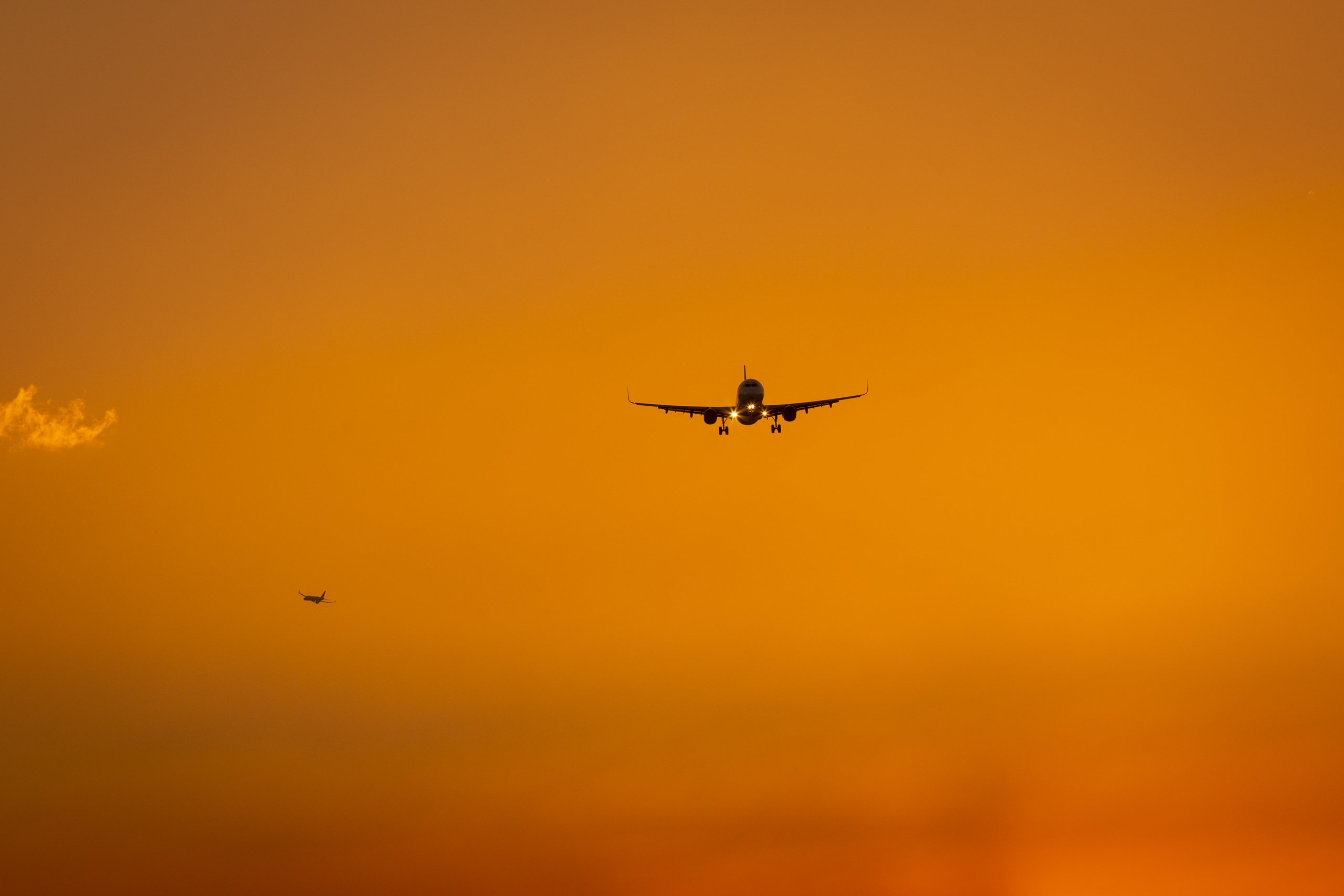 Canon EOS 7D Mark II | EXIF: 200mm, f/8, 1/320sec, ISO-100 | Photo by Christian González Verón | All rights reserved