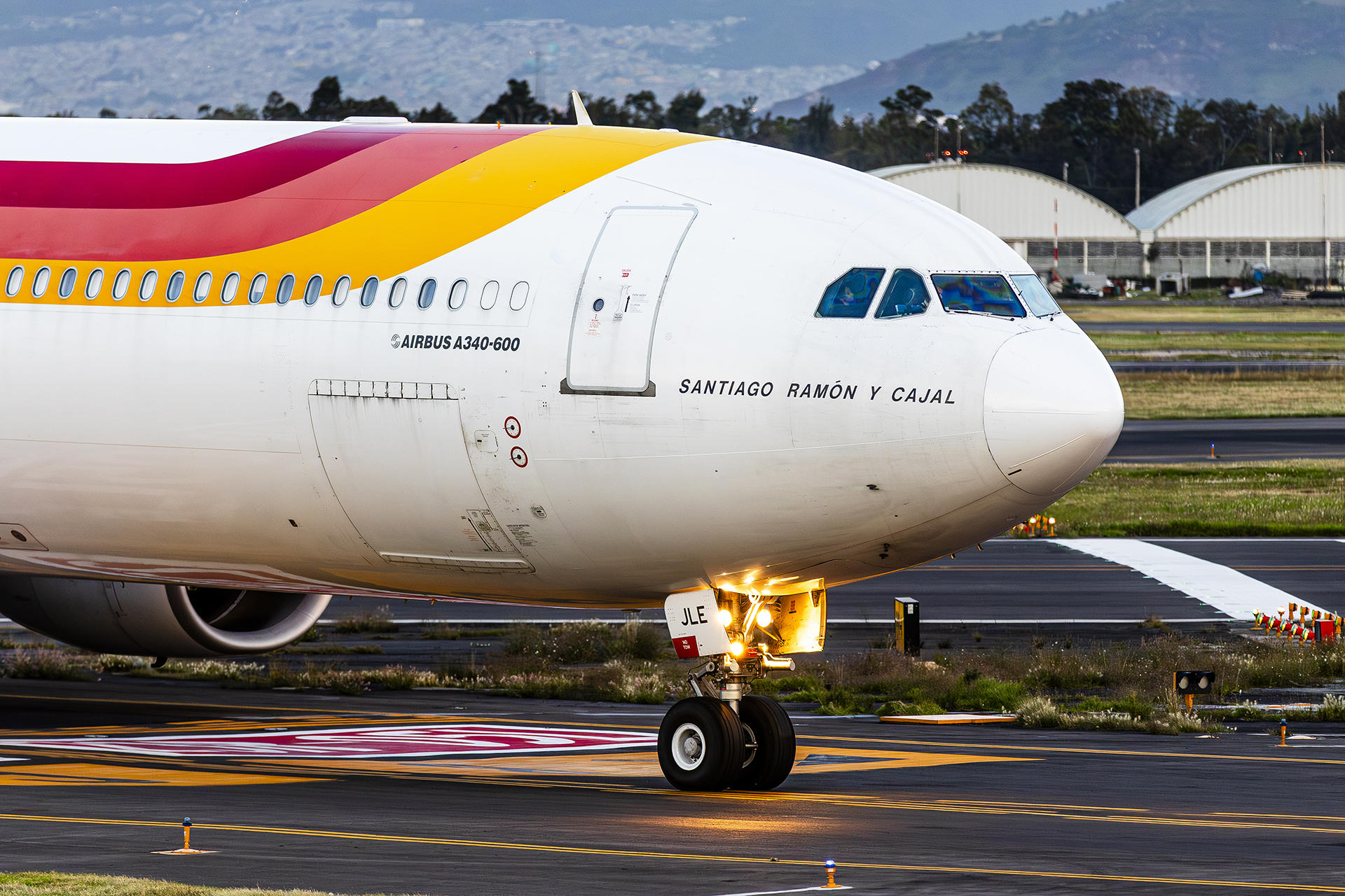 Canon EOS 7D Mark II | EXIF: 200mm, f/2.8, 1/500sec, ISO-800 | Photo by Christian González Verón | All rights reserved