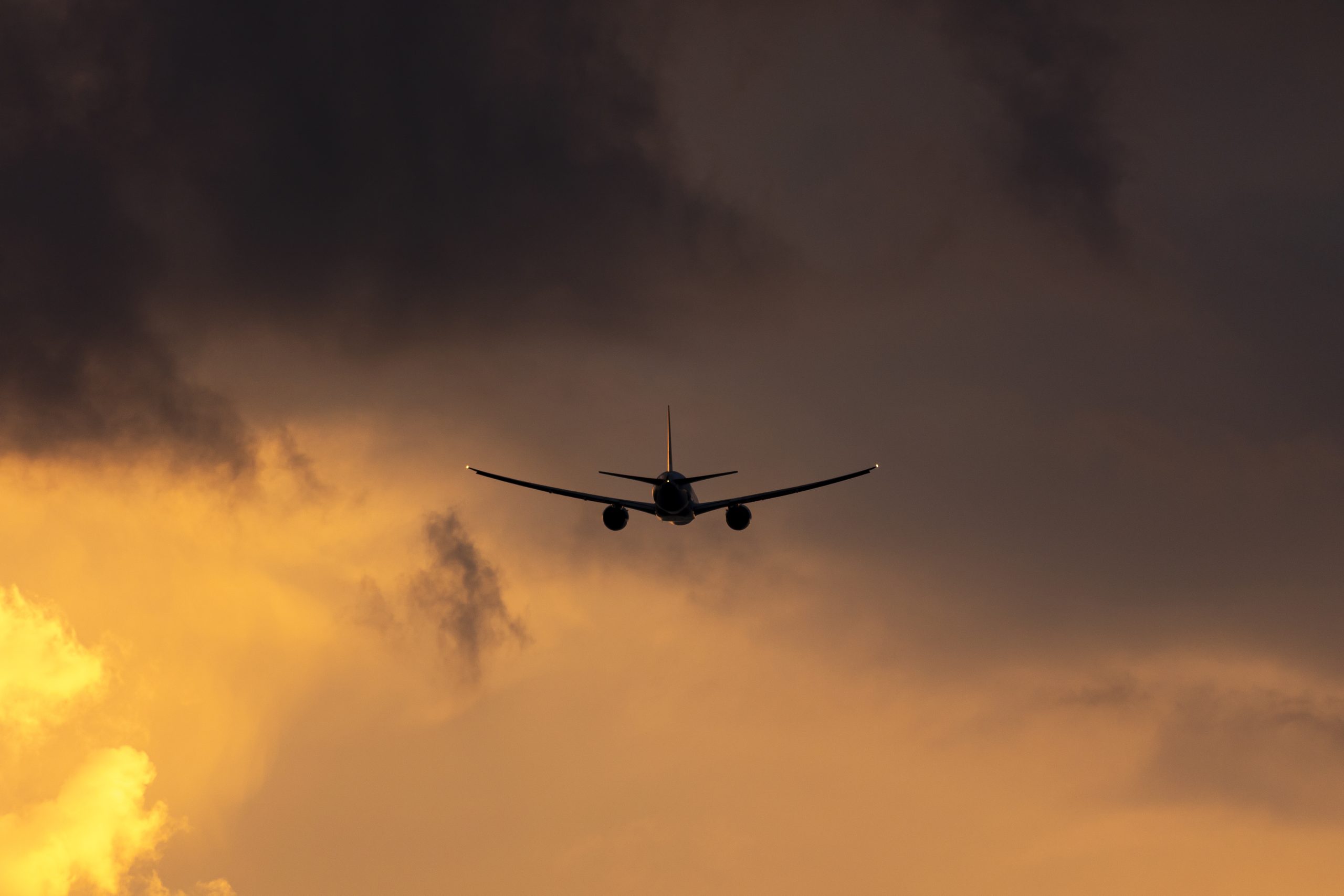 Canon EOS 7D Mark II | EXIF: 200mm, f/2.8, 1/320sec, ISO-100 | Photo by Christian González Verón | All rights reserved