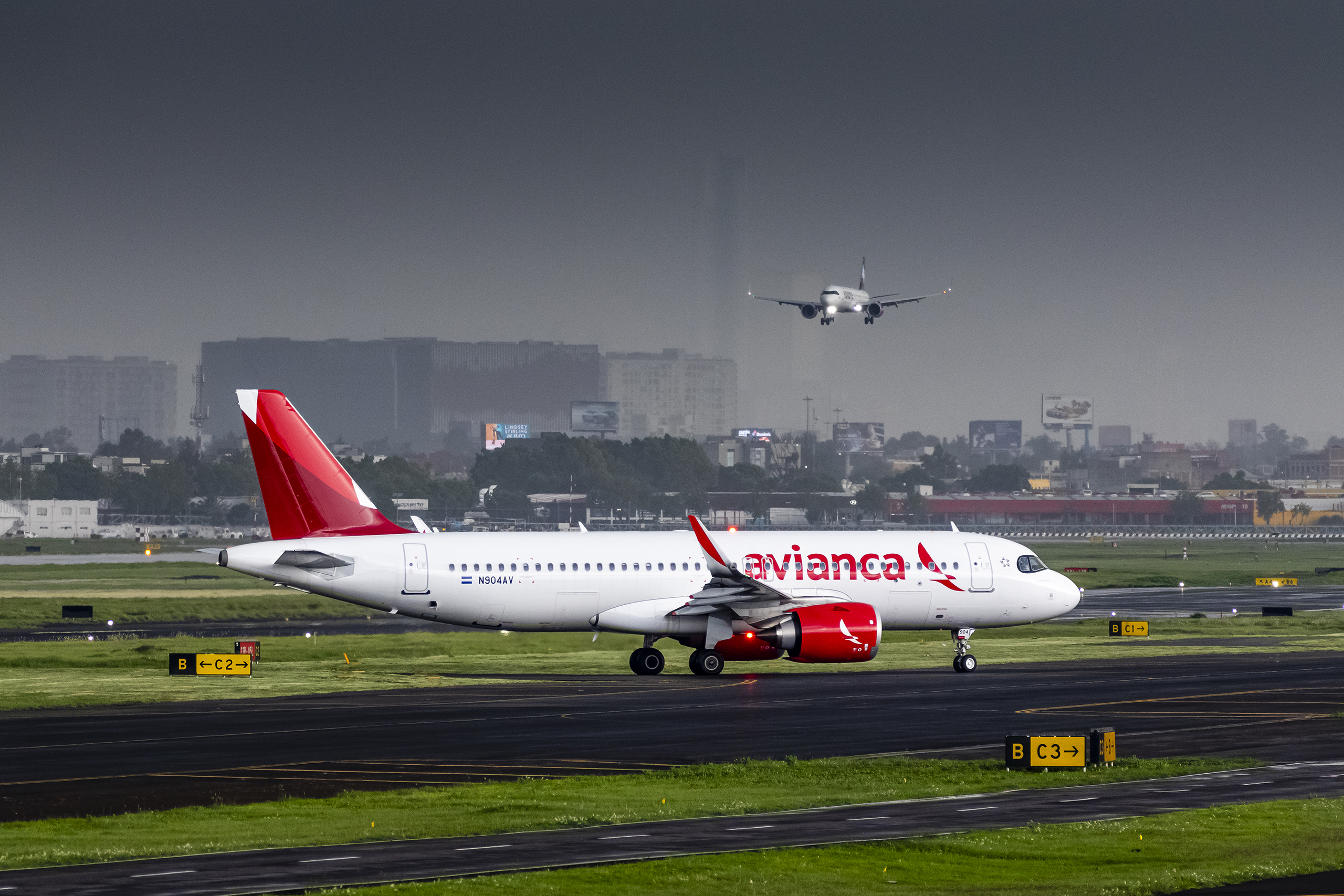 Canon EOS 7D Mark II | EXIF: 283mm, f/5.6, 1/500sec, ISO-640 | Photo by Christian González Verón | All rights reserved